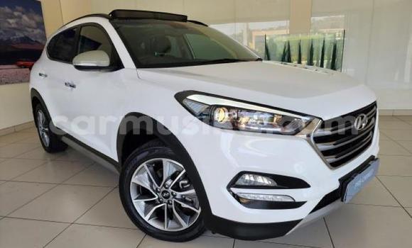 Tenga Tsaru Hyundai Tucson Chena Mota in Beitbridge in Matabeleland South Tenga Tsaru Hyundai Tucson Chena Mota in Beitbridge in Matabeleland South