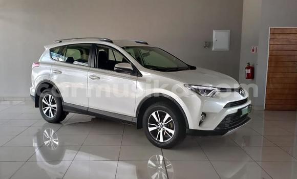 Acheter Occasion Voiture Toyota Rush Blanc à Beitbridge, Matabeleland South Acheter Occasion Voiture Toyota Rush Blanc à Beitbridge, Matabeleland South