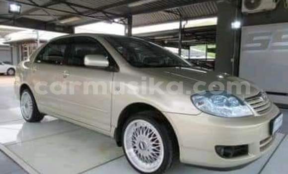 Buy Used Toyota Corolla Other Car in Beitbridge in Matabeleland South