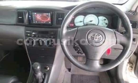 Acheter Occasion Voiture Toyota Corolla Autre à Beitbridge, Matabeleland South Acheter Occasion Voiture Toyota Corolla Autre à Beitbridge, Matabeleland South