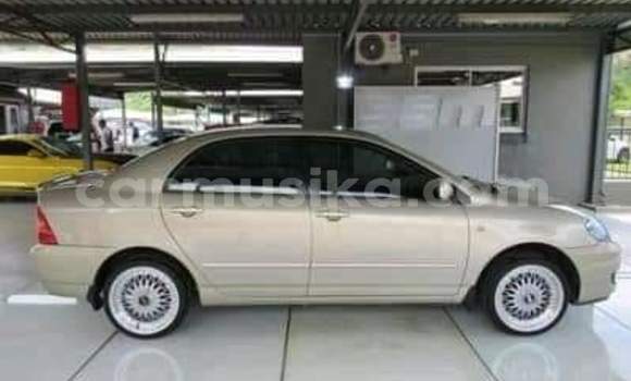 Acheter Occasion Voiture Toyota Corolla Autre à Beitbridge, Matabeleland South Acheter Occasion Voiture Toyota Corolla Autre à Beitbridge, Matabeleland South