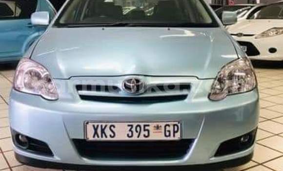 Buy Used Toyota Runx Other Car in Beitbridge in Matabeleland South Buy Used Toyota Runx Other Car in Beitbridge in Matabeleland South
