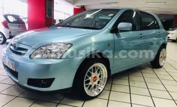 Buy Used Toyota Runx Other Car in Beitbridge in Matabeleland South Buy Used Toyota Runx Other Car in Beitbridge in Matabeleland South