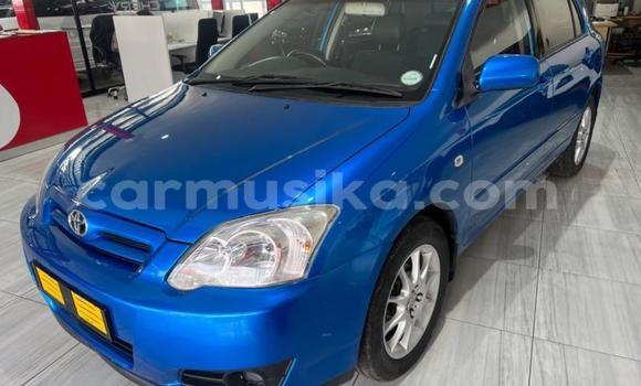 Buy Used Toyota Runx Blue Car in Beitbridge in Matabeleland South