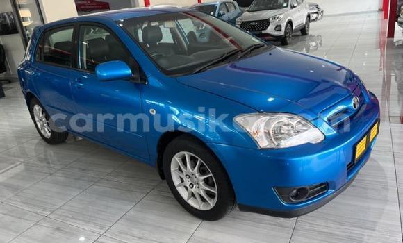 Nunua Ilio tumika Toyota Runx Bluu Gari ndani ya Beitbridge nchini Matabeleland Kusini Nunua Ilio tumika Toyota Runx Bluu Gari ndani ya Beitbridge nchini Matabeleland Kusini