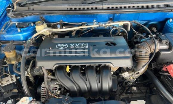 Nunua Ilio tumika Toyota Runx Bluu Gari ndani ya Beitbridge nchini Matabeleland Kusini Nunua Ilio tumika Toyota Runx Bluu Gari ndani ya Beitbridge nchini Matabeleland Kusini