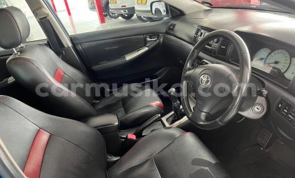 Nunua Ilio tumika Toyota Runx Bluu Gari ndani ya Beitbridge nchini Matabeleland Kusini Nunua Ilio tumika Toyota Runx Bluu Gari ndani ya Beitbridge nchini Matabeleland Kusini