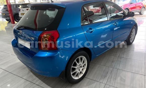 Nunua Ilio tumika Toyota Runx Bluu Gari ndani ya Beitbridge nchini Matabeleland Kusini Nunua Ilio tumika Toyota Runx Bluu Gari ndani ya Beitbridge nchini Matabeleland Kusini