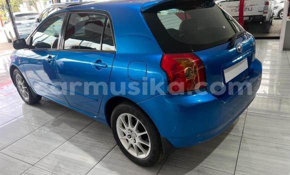 Nunua Ilio tumika Toyota Runx Bluu Gari ndani ya Beitbridge nchini Matabeleland Kusini Nunua Ilio tumika Toyota Runx Bluu Gari ndani ya Beitbridge nchini Matabeleland Kusini