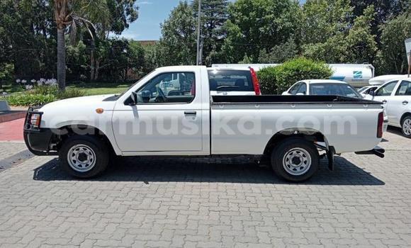 Buy Used Nissan NP 300 White Car in Beitbridge in Matabeleland South