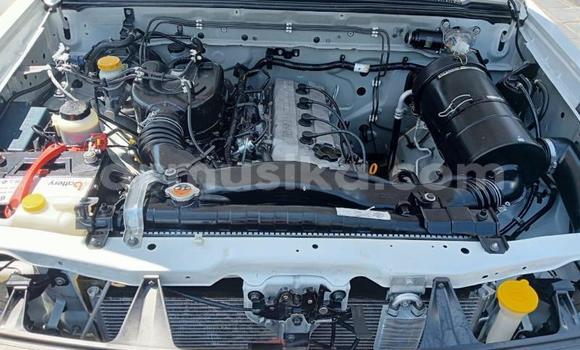 Acheter Occasion Voiture Nissan NP 300 Blanc à Beitbridge, Matabeleland South Acheter Occasion Voiture Nissan NP 300 Blanc à Beitbridge, Matabeleland South