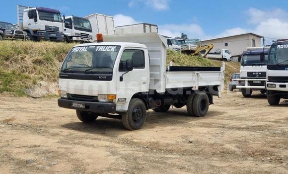 Buy Used Nissan UD White Truck in Beitbridge in Matabeleland South