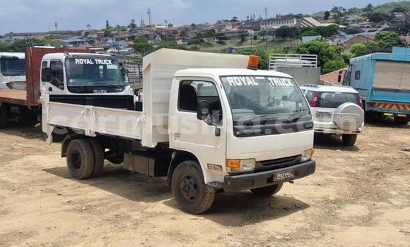 Tenga Tsaru Nissan UD Chena Rori in Beitbridge in Matabeleland South Tenga Tsaru Nissan UD Chena Rori in Beitbridge in Matabeleland South