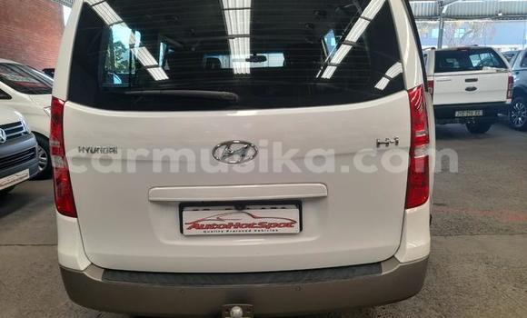 Buy Used Hyundai H1 White Car in Beitbridge in Matabeleland South Buy Used Hyundai H1 White Car in Beitbridge in Matabeleland South