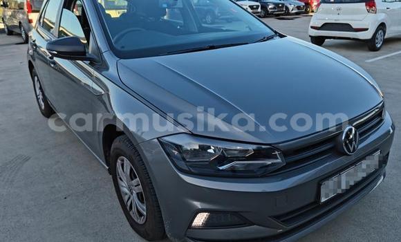 Buy Used Volkswagen Polo Other Car in Beitbridge in Matabeleland South Buy Used Volkswagen Polo Other Car in Beitbridge in Matabeleland South