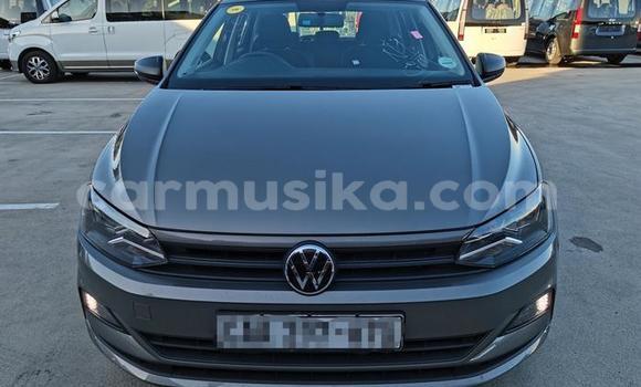 Buy Used Volkswagen Polo Other Car in Beitbridge in Matabeleland South Buy Used Volkswagen Polo Other Car in Beitbridge in Matabeleland South