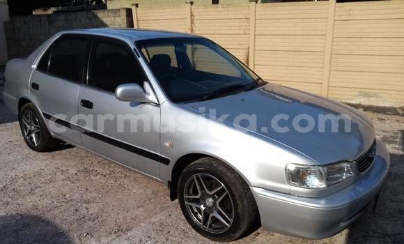 Acheter Occasion Voiture Toyota Corolla II Gris à Beitbridge, Matabeleland South