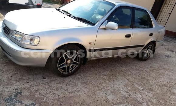 Acheter Occasion Voiture Toyota Corolla II Gris à Beitbridge, Matabeleland South Acheter Occasion Voiture Toyota Corolla II Gris à Beitbridge, Matabeleland South