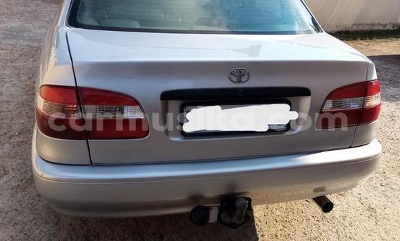 Acheter Occasion Voiture Toyota Corolla II Gris à Beitbridge, Matabeleland South Acheter Occasion Voiture Toyota Corolla II Gris à Beitbridge, Matabeleland South