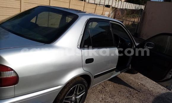 Acheter Occasion Voiture Toyota Corolla II Gris à Beitbridge, Matabeleland South Acheter Occasion Voiture Toyota Corolla II Gris à Beitbridge, Matabeleland South