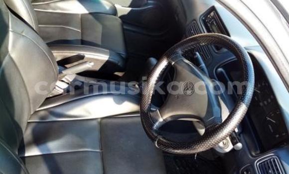 Acheter Occasion Voiture Toyota Corolla II Gris à Beitbridge, Matabeleland South Acheter Occasion Voiture Toyota Corolla II Gris à Beitbridge, Matabeleland South