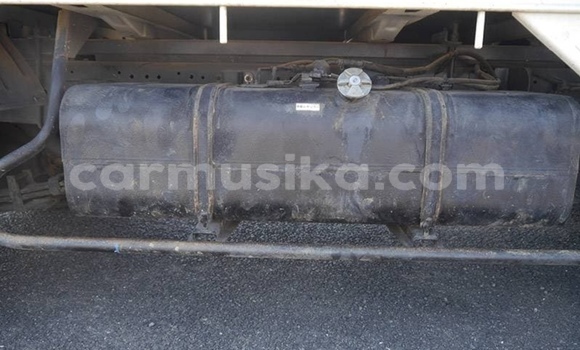 Nunua Ilio tumika Toyota Dyna Nyeupe Lori ndani ya Beitbridge nchini Matabeleland Kusini Nunua Ilio tumika Toyota Dyna Nyeupe Lori ndani ya Beitbridge nchini Matabeleland Kusini