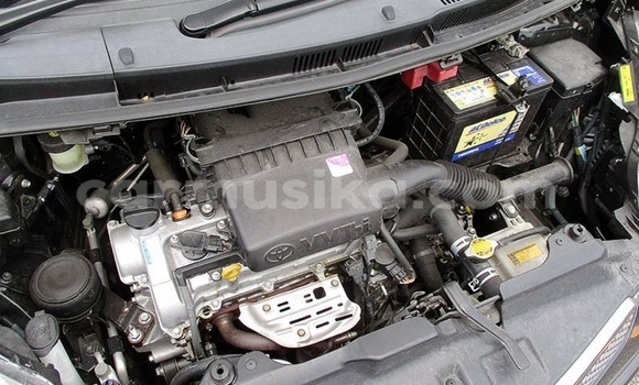 Acheter Occasion Voiture Toyota Ractis Noir à Beitbridge, Matabeleland South Acheter Occasion Voiture Toyota Ractis Noir à Beitbridge, Matabeleland South