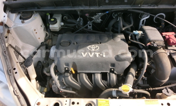 Buy Used Toyota FunCargo Other Car in Beitbridge in Matabeleland South Buy Used Toyota FunCargo Other Car in Beitbridge in Matabeleland South