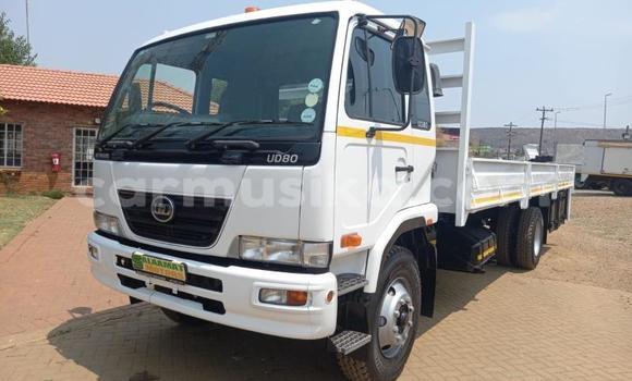 Buy Used Nissan UD White Truck in Beitbridge in Matabeleland South