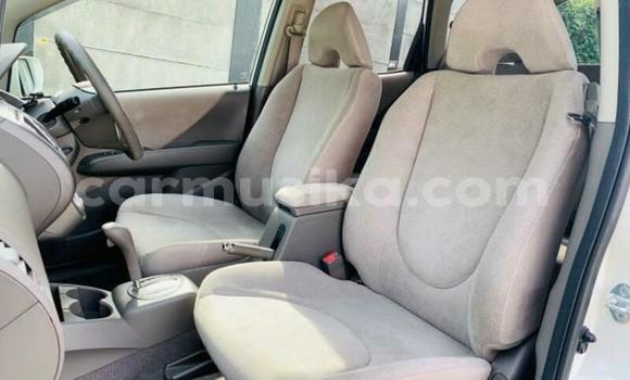 Buy Used Honda Fit White Car in Beitbridge in Matabeleland South Buy Used Honda Fit White Car in Beitbridge in Matabeleland South
