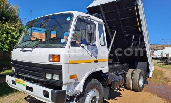 Nunua Ilio tumika Nissan UD Nyeupe Lori ndani ya Beitbridge nchini Matabeleland Kusini