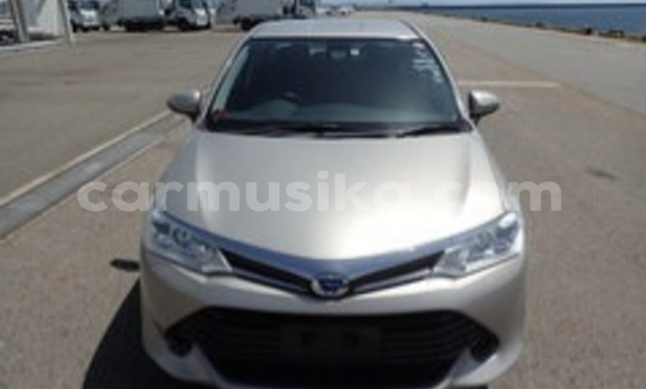 Tenga Tsaru Toyota Corolla Zvimwe Mota in Beitbridge in Matabeleland South