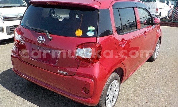 Buy Used Toyota Passo Other Car in Beitbridge in Matabeleland South Buy Used Toyota Passo Other Car in Beitbridge in Matabeleland South