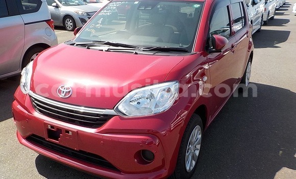 Buy Used Toyota Passo Other Car in Beitbridge in Matabeleland South Buy Used Toyota Passo Other Car in Beitbridge in Matabeleland South