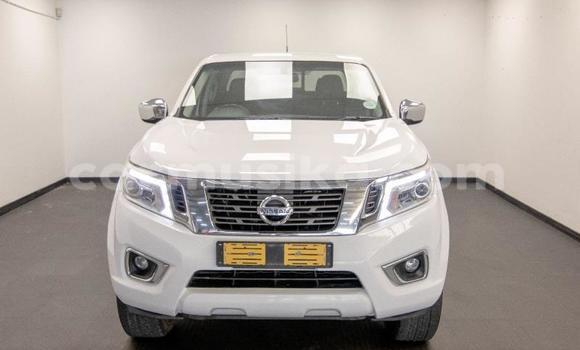 Buy Used Nissan Navara White Car in Beitbridge in Matabeleland South