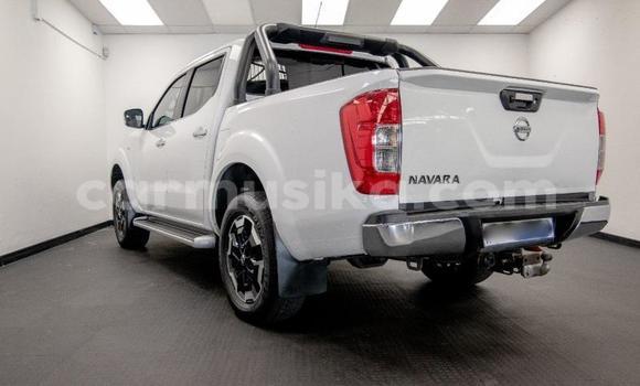 Tenga Tsaru Nissan Navara Chena Mota in Beitbridge in Matabeleland South Tenga Tsaru Nissan Navara Chena Mota in Beitbridge in Matabeleland South