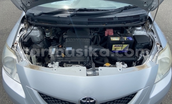 Tenga Tsaru Toyota Belta Sirivha Mota in Beitbridge in Matabeleland South Tenga Tsaru Toyota Belta Sirivha Mota in Beitbridge in Matabeleland South