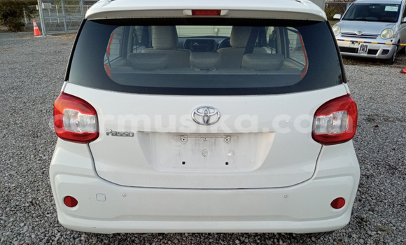 Buy Used Toyota Passo White Car in Beitbridge in Matabeleland South Buy Used Toyota Passo White Car in Beitbridge in Matabeleland South