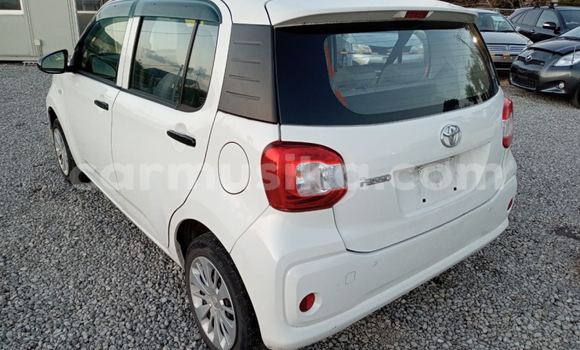 Buy Used Toyota Passo White Car in Beitbridge in Matabeleland South Buy Used Toyota Passo White Car in Beitbridge in Matabeleland South