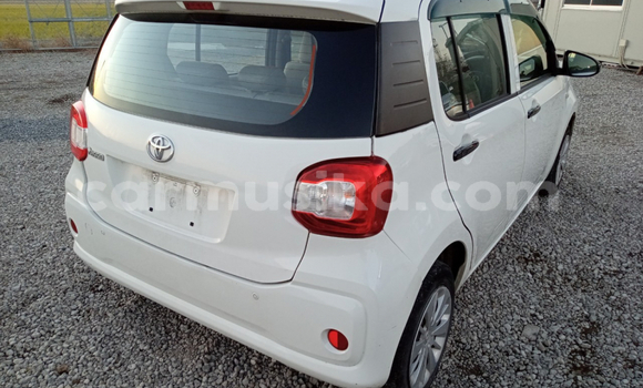 Buy Used Toyota Passo White Car in Beitbridge in Matabeleland South Buy Used Toyota Passo White Car in Beitbridge in Matabeleland South