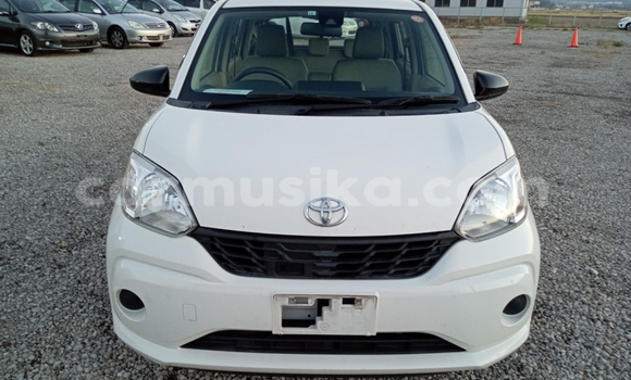 Buy Used Toyota Passo White Car in Beitbridge in Matabeleland South Buy Used Toyota Passo White Car in Beitbridge in Matabeleland South