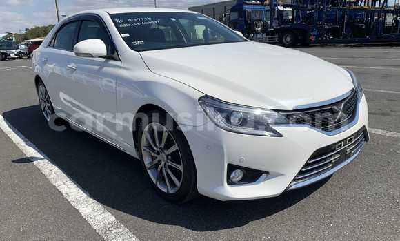 Tenga Tsaru Toyota Mark X Chena Mota in Beitbridge in Matabeleland South