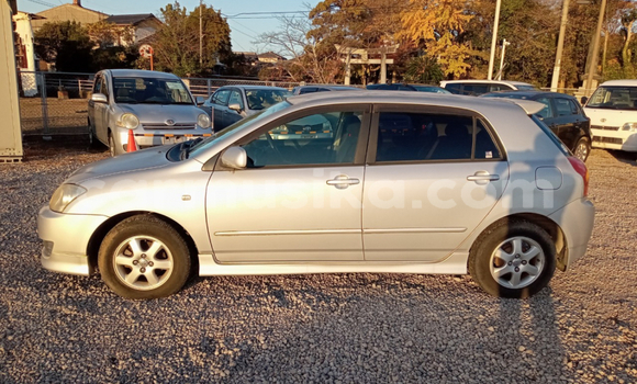 Tenga Tsaru Toyota Runx Sirivha Mota in Beitbridge in Matabeleland South Tenga Tsaru Toyota Runx Sirivha Mota in Beitbridge in Matabeleland South