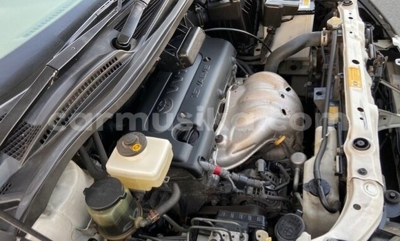 Acheter Occasion Voiture Toyota Ipsum Blanc à Beitbridge, Matabeleland South Acheter Occasion Voiture Toyota Ipsum Blanc à Beitbridge, Matabeleland South