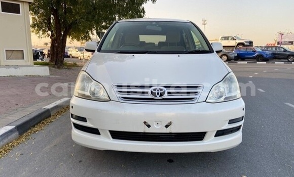 Acheter Occasion Voiture Toyota Ipsum Blanc à Beitbridge, Matabeleland South Acheter Occasion Voiture Toyota Ipsum Blanc à Beitbridge, Matabeleland South