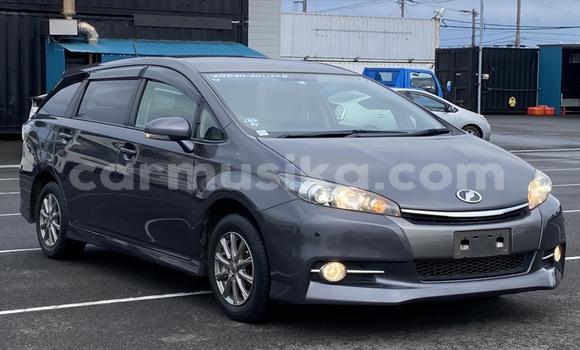 Nunua Ilio tumika Toyota Wish Nyingine Gari ndani ya Beitbridge nchini Matabeleland Kusini