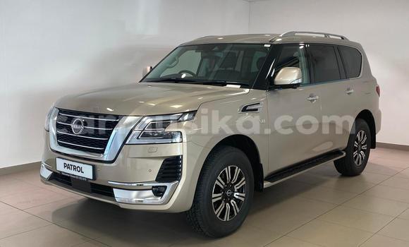 Buy Used Nissan Patrol Beige Car in Beitbridge in Matabeleland South
