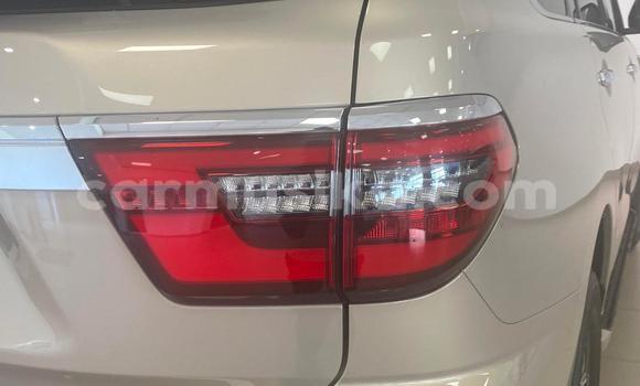 Acheter Occasion Voiture Nissan Patrol Beige à Beitbridge, Matabeleland South Acheter Occasion Voiture Nissan Patrol Beige à Beitbridge, Matabeleland South