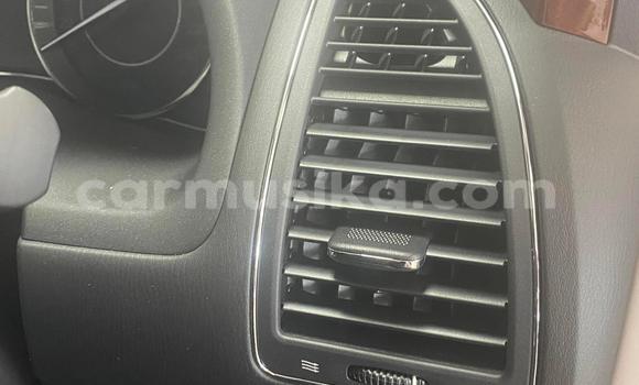 Acheter Occasion Voiture Nissan Patrol Beige à Beitbridge, Matabeleland South Acheter Occasion Voiture Nissan Patrol Beige à Beitbridge, Matabeleland South