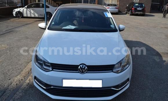 Tenga Tsaru Volkswagen Polo Chena Mota in Beitbridge in Matabeleland South